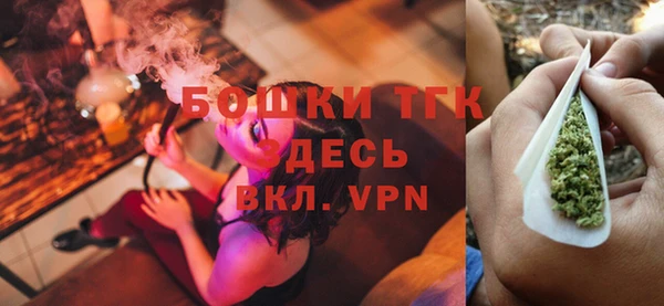мдпв Богданович