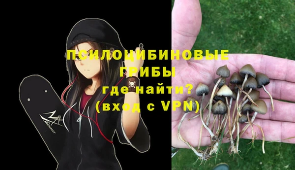 мдпв Богданович
