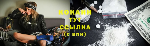 мдпв Богданович